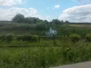 The View from the Kingfisher Hide